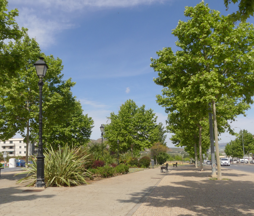 Proyecto del Parque Verónica de Antequera